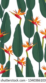 Seamless pattern tropical leaves with bird of paradise on white background
