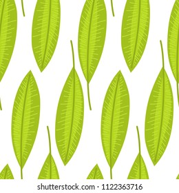 Seamless pattern with tropical leaves doodle style. Vector
