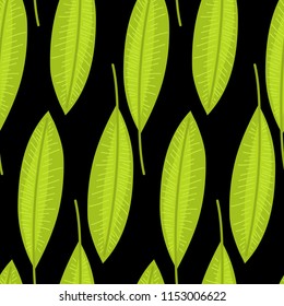 Seamless pattern with tropical leaves doodle style. Vector