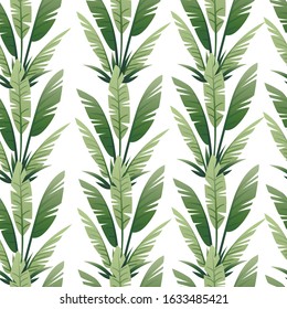 Seamless pattern of tropical leaves exotical jungle leaf vector floral element vector illustration on white background