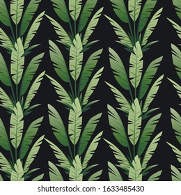 Seamless pattern of tropical leaves exotical jungle leaf vector floral element vector illustration on dark background