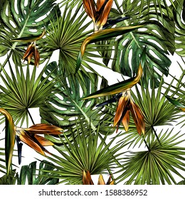 seamless pattern of tropical leaves and flowers, sketch vector graphics color illustration on white background