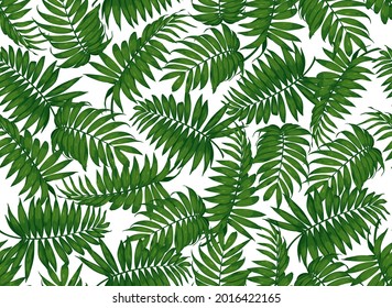 seamless pattern with tropical leaves. Tropical green palm leaf on white background. top view. Vector illustration.