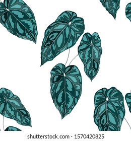 Seamless pattern with tropical leaves. Hand drawn exotic plants. Summer nature jungle print. Can be used for any kind of a surface design. Vector. 