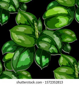 Seamless pattern with tropical leaves. Hand drawn exotic plants. Summer nature jungle print. Can be used for any kind of a surface design. Vector.