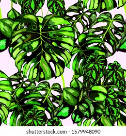 Seamless pattern with tropical leaves. Hand drawn exotic plants. Summer nature jungle print. Can be used for any kind of a surface design. Vector.