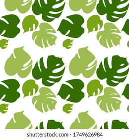 Seamless pattern with tropical leaves of monstera on white background. Vector illustration. Fabric texture. 