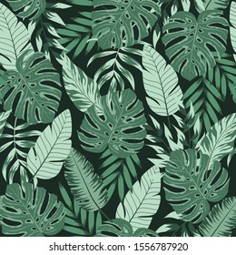 Seamless pattern with tropical leaves on dark background. Trendy summer Hawaii print.  Floral pattern. Vector background for various surface. Jungle leaves. Hand draw texture.