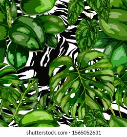 Seamless pattern with tropical leaves on zebra stripes. Beautiful allover print with hand drawn exotic plants. Summer nature jungle print. Can be used for any kind of a surface design. Vector.