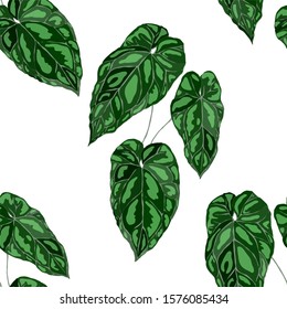 Seamless pattern with tropical leaves on leopard spots. Hand drawn exotic plants. Summer nature jungle print. Can be used for any kind of a surface design. Vector.