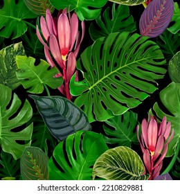 Seamless pattern with tropical leaves on a black background. Vector illustration of greenery, foliage and leaves of Monstera, Epipremnum, Philodendron and Leucadendron plants. Floral textile design