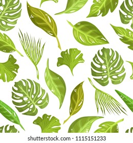 Seamless pattern of tropical leaves, palm, monstera, ginkgo on white background