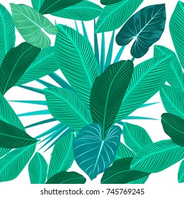 Seamless pattern of tropical leaves of palm tree. Vector background.