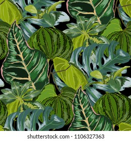 Seamless pattern with tropical leaves: palms, monstera, passion fruit. Beautiful allover print with hand drawn exotic plants. Swimwear botanical design. Vector.
