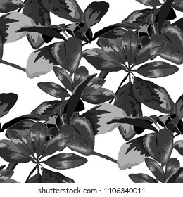 Seamless pattern with tropical leaves: palms, monstera, passion fruit. Beautiful allover print with hand drawn exotic plants. Swimwear botanical design. Vector.
