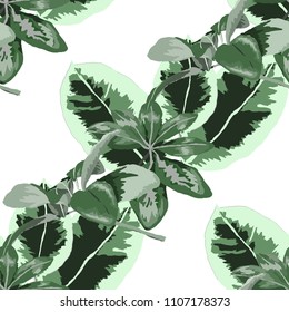 Seamless pattern with tropical leaves: palms, monstera, passion fruit. Beautiful allover print with hand drawn exotic plants. Swimwear botanical design. Vector.
