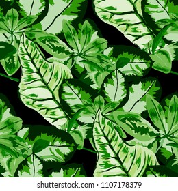 Seamless pattern with tropical leaves: palms, monstera, passion fruit. Beautiful allover print with hand drawn exotic plants. Swimwear botanical design. Vector.
