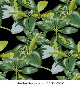 Seamless pattern with tropical leaves: palms, monstera, passion fruit. Beautiful allover print with hand drawn exotic plants. Swimwear botanical design. Vector.

