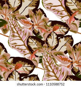 Patrón sin soldadura con hojas tropicales: palmeras, monstera, fruta de la pasión. Hermosa impresión con plantas exóticas dibujadas a mano. Diseño botánico de ropa de baño. Vector.
