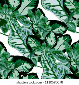 Seamless pattern with tropical leaves: palms, monstera, passion fruit. Beautiful allover print with hand drawn exotic plants. Swimwear botanical design. Vector.
