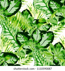 Seamless pattern with tropical leaves: palms, monstera, passion fruit. Beautiful allover print with hand drawn exotic plants. Swimwear botanical design. Vector.
