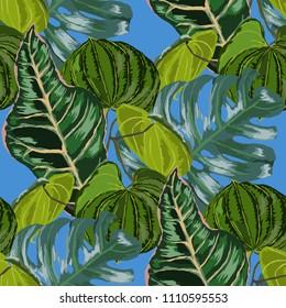 Seamless pattern with tropical leaves: palms, monstera, passion fruit. Beautiful allover print with hand drawn exotic plants. Swimwear botanical design. Vector.
