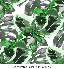 Seamless pattern with tropical leaves: palms, monstera, passion fruit. Beautiful allover print with hand drawn exotic plants. Swimwear botanical design. Vector.

