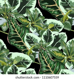 Seamless pattern with tropical leaves: palms, monstera, passion fruit. Beautiful allover print with hand drawn exotic plants. Swimwear botanical design. Vector.
