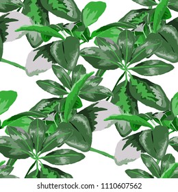 Seamless pattern with tropical leaves: palms, monstera, passion fruit. Beautiful allover print with hand drawn exotic plants. Swimwear botanical design. Vector.
