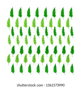Seamless pattern with tropical leaves: palms. Beautiful allover print with exotic plants
