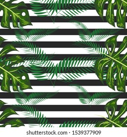 Seamless pattern with tropical leaves: palms, monstera. jungle leaf seamless pattern striped background. Swimwear botanical design.