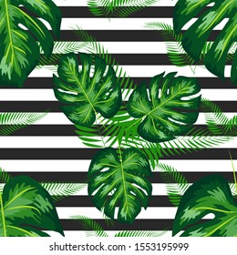 Seamless pattern with tropical leaves: palms, monstera. jungle leaf seamless pattern striped background