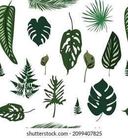 seamless pattern with tropical leaves, palms, monster, fern and others isolated on white background. Beautiful repeating print with hand-painted exotic plants. Botanical design. Vector.
