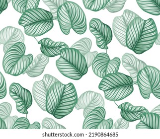 Patrón sin foco con hojas tropicales. Ilustración botánica realista sobre un fondo blanco. Diseño de follaje vectorial.
