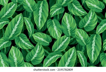 Seamless pattern with tropical leaves. Realistic botanical illustration on a black background. Vector foliage design. 