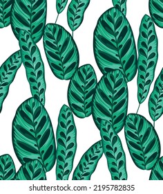 Seamless pattern with tropical leaves. Realistic botanical illustration on a white background. Vector foliage design. 