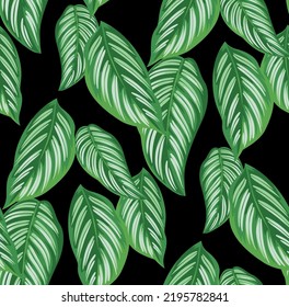 Seamless pattern with tropical leaves. Realistic botanical illustration on a black background. Vector foliage design. 