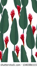Seamless pattern tropical leaves with red ginger on white background
