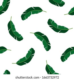 Seamless pattern with tropical leaves. Vector illustration of summer. Exotic wallpaper with green palm leaves on white background. For web design, banners, scrapbooking, printing on fabric, wrapping.