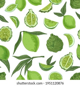 Seamless pattern with tropical limes and bergamots on white background. Endless repeatable texture with realistic green citrus fruits. Hand-drawn colored vector illustration for printing