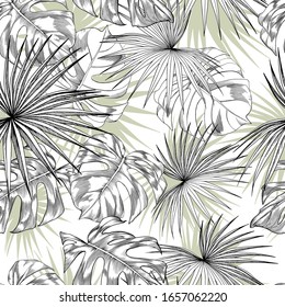 Seamless pattern with tropical monstera and palm leaves. Hand drawn vector illustration on white background.
