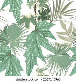 Seamless pattern, tropical palm leaves, greenery. Decorative white background in rustic boho style for fabric.