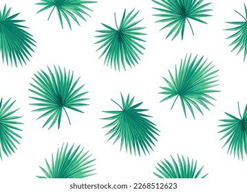 Seamless pattern with tropical palm leaves in realistic style. Exotic plants. Vector botanical illustration. Foliage background for cards.