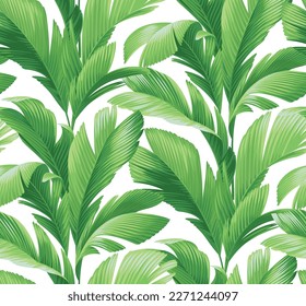 Seamless pattern with tropical palm leaves in realistic style. Exotic plants. Vector botanical illustration. Foliage background.