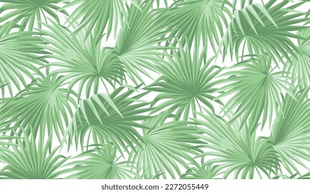 Seamless pattern with tropical palm leaves in realistic style. Exotic plants. Vector botanical illustration. Foliage background.