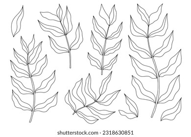 Patrón sin foco con hojas tropicales de palma. Ilustración vectorial para su diseño.