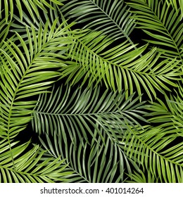 Seamless Pattern. Tropical Palm Leaves Background. Vector. 