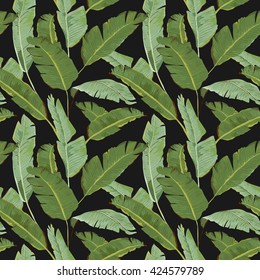 Seamless Pattern. Tropical Palm Leaves Background. Banana. Vector. Exotic Texture. Floral Wallpaper.