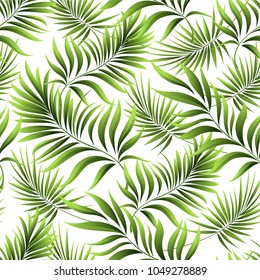 Seamless pattern of a tropical palm tree, jungle leaves. Vector floral pattern.