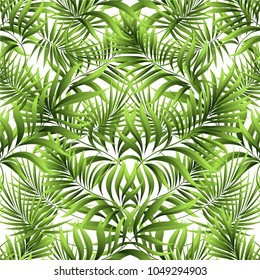 Seamless pattern of a tropical palm tree, jungle leaves. Vector floral pattern.